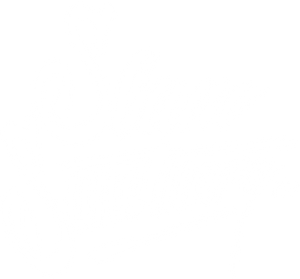 Slam Sanctuary